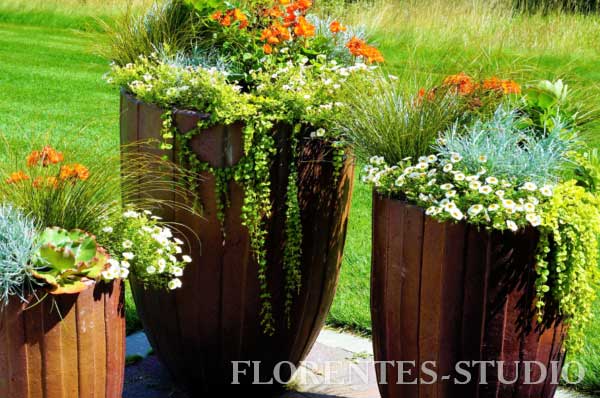 Container gardening in Lviv