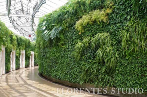 Vertical gardening in Lviv