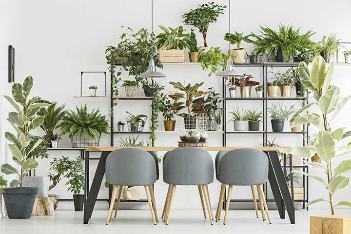Interior landscaping of Lviv
