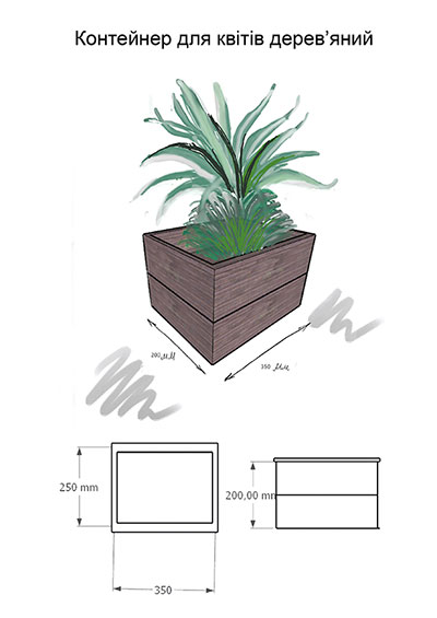 Container for plants