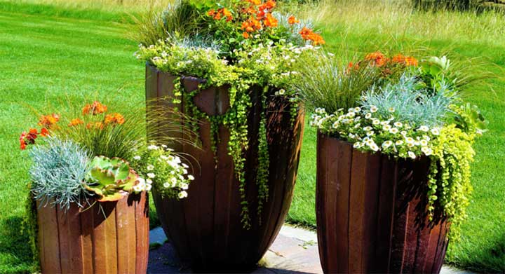 Container gardening