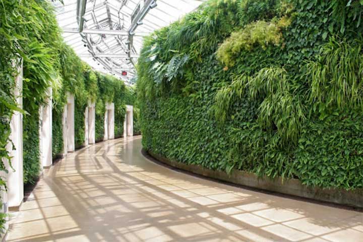 Vertical gardening