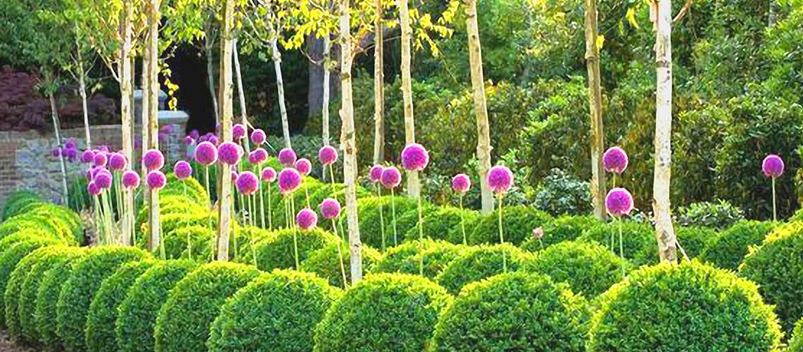 Landscape works in Lviv
